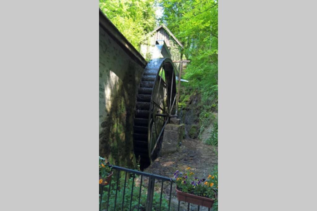 Le Portougais, Chalet A Chanaz, La Petite Venise Savoyarde Eksteriør bilde